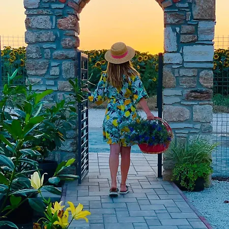 Halta Pescarus 3* Douăzeci şi Trei August